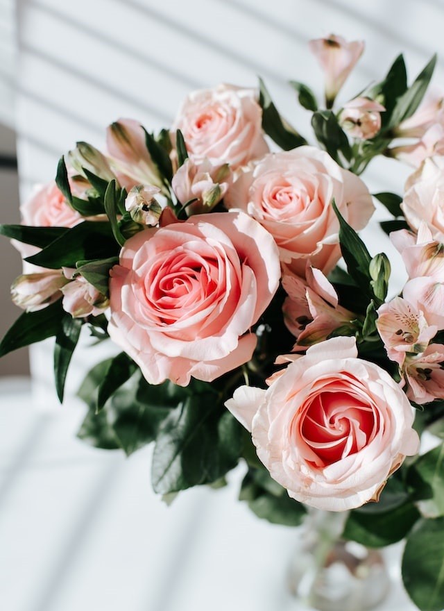 schenk-doch-mal-wieder-blumen