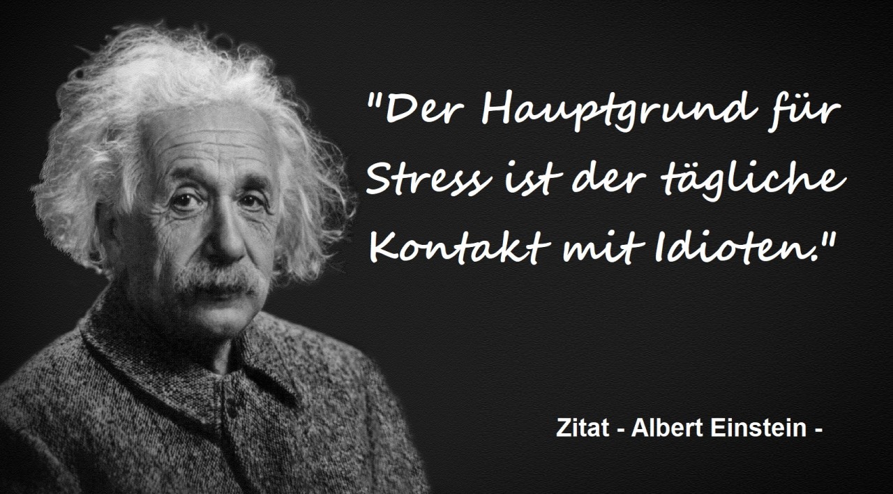 zitieren_in_webinaren-zitat-albert_einstein