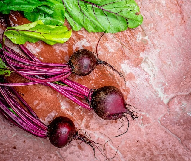 rote beete nicht nur gesund sondern auch leistungssteigernd