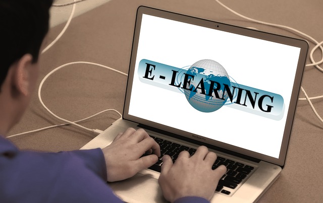 e learning webinare