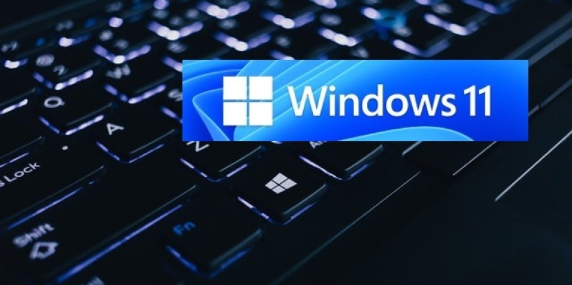 Online Seminare & Co. mit dem neuen WINDOWS 11 – Warum es nicht jeder nutzen kann!