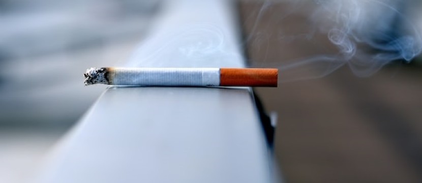 Neue Fakten – Warum Rauchen dem Herzen mehr schadet als bisher angenommen (Webiscript)