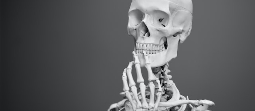 Deutschland verblödet – Warum wir immer dümmer werden