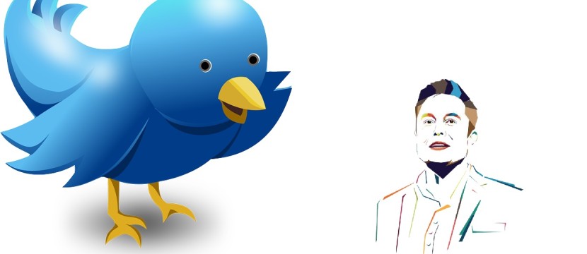 Peitschenhieb für Elon Musk - Nach Frankfurter Urteil muss Twitter Fake News und Beleidigungen unverzüglich löschen