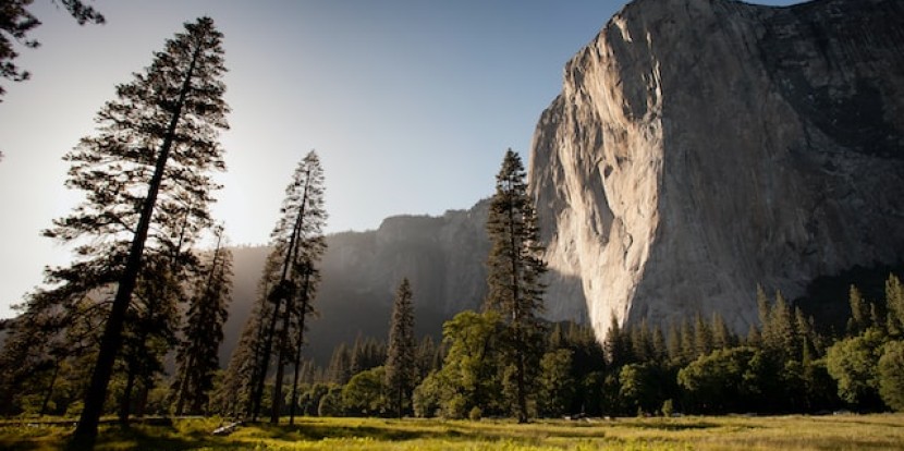Survival – Warum das ultimative Naturerlebnis gerade zum Mega Trend wird