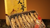 10 Gründe warum Ginseng immer beliebter wird – es soll die Selbstheilung des Körpers fördern
