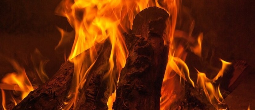 Warum das Heizen mit Holz gut für die Umwelt und das Klima ist