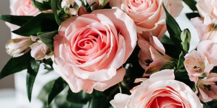 Schenk mal wieder Blumen | Warum das aber manchmal gar keine gute Idee sein kann