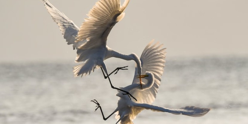 Wie kann ich Konflikte lösen? 10 Methoden zur erfolgreichen Konfliktbewältigung.