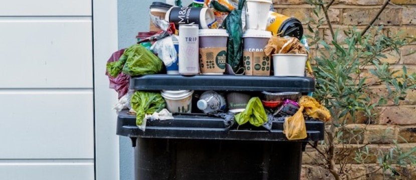 Zwischen Überfluss und Verschwendung -  Die Herausforderungen der Wegwerfgesellschaft