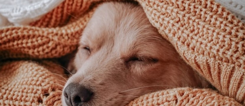 Erstelle ganz einfach Vorträge und Webinare, die nicht nicht zum Einschlafen sind